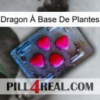 Dragon À Base De Plantes 13